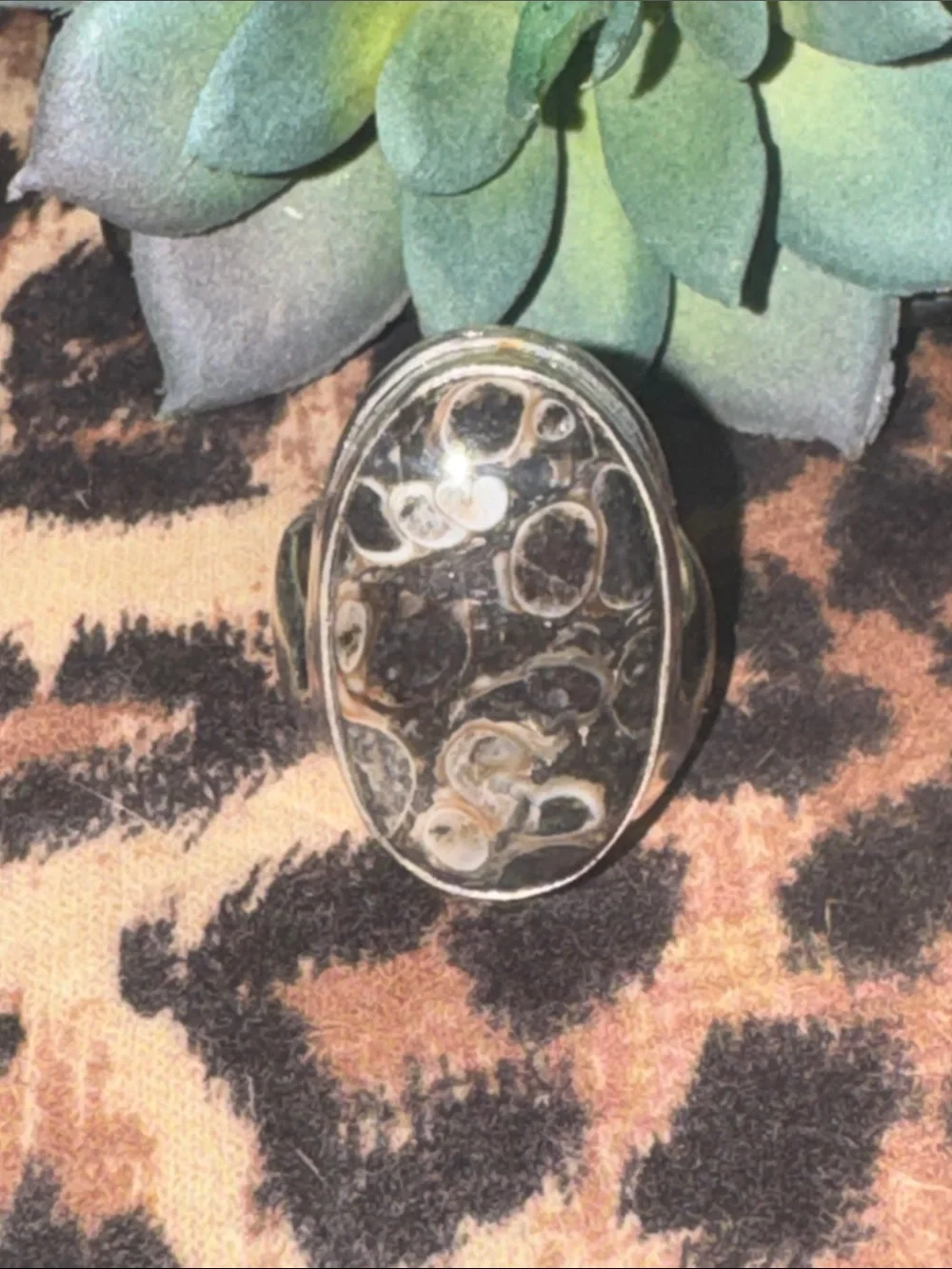 Turitella Jasper Silver Ring